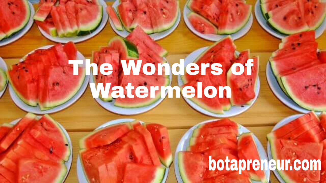 The Wonders of Watermelon