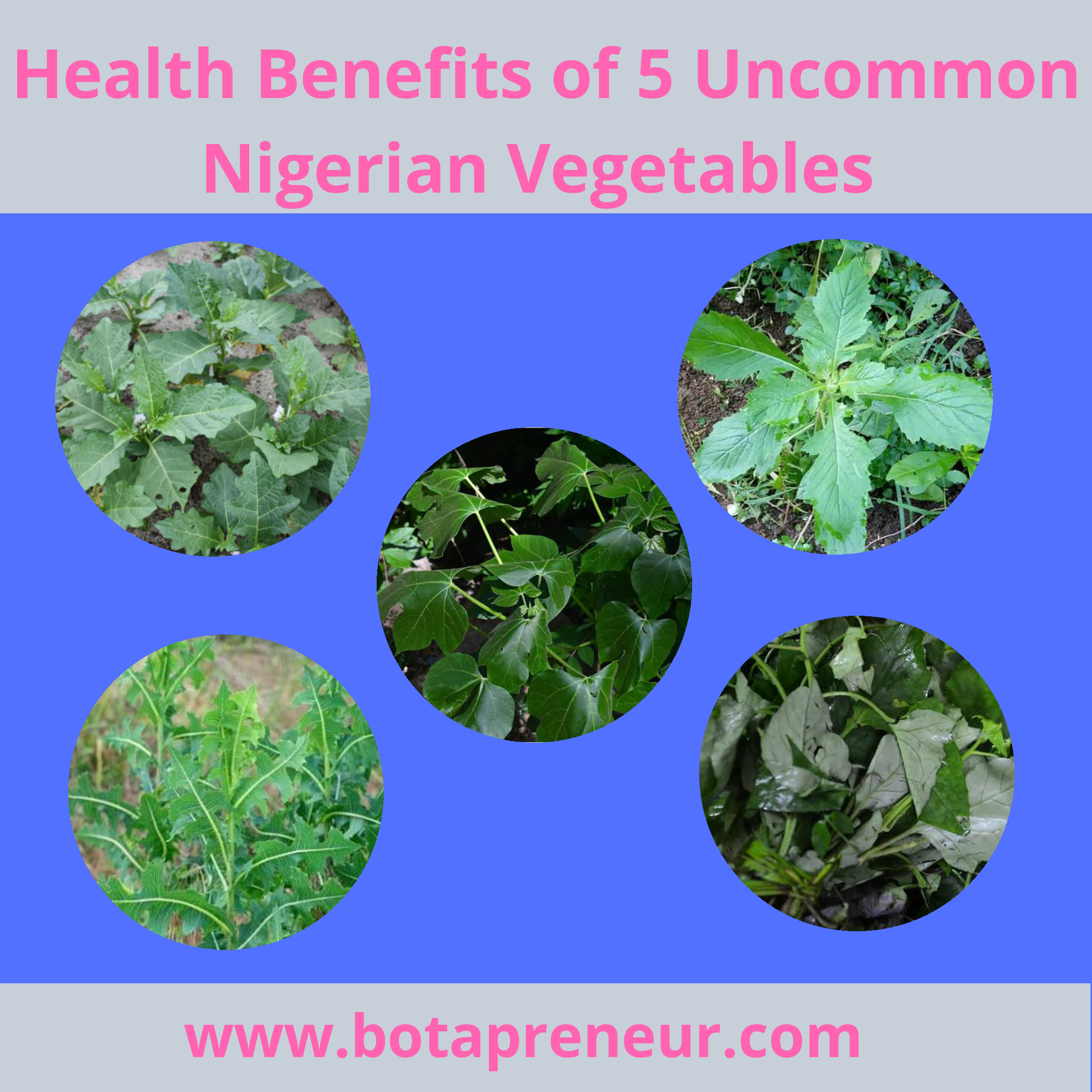 Health Benefits of 5 Uncommon Nigerian Vegetables