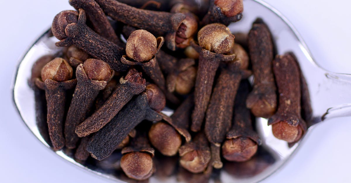 A detailed view of dried cloves on a shiny metal teaspoon, ideal for seasoning or kitchen use.