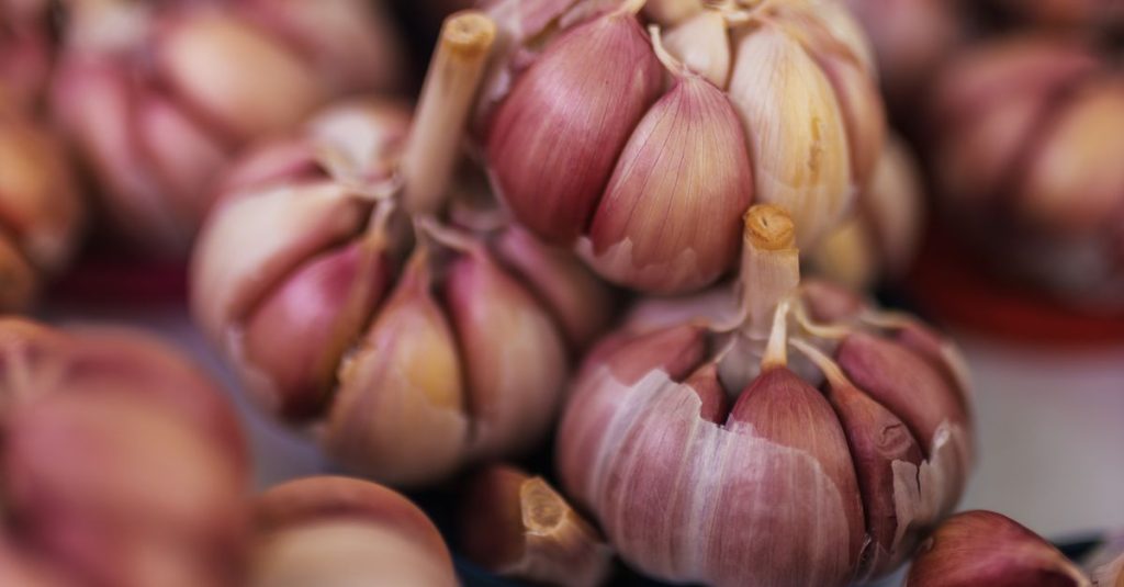 Vibrant display of fresh purple garlic bulbs at a market, highlighting natural texture and color.