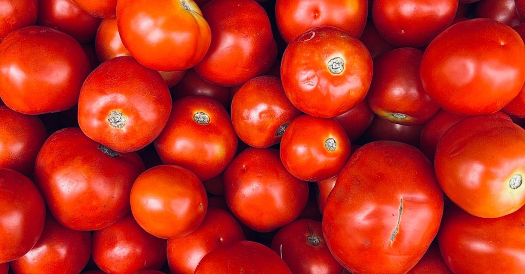 A vibrant display of fresh red tomatoes at a market in Coimbatore, India - summer harvest.
