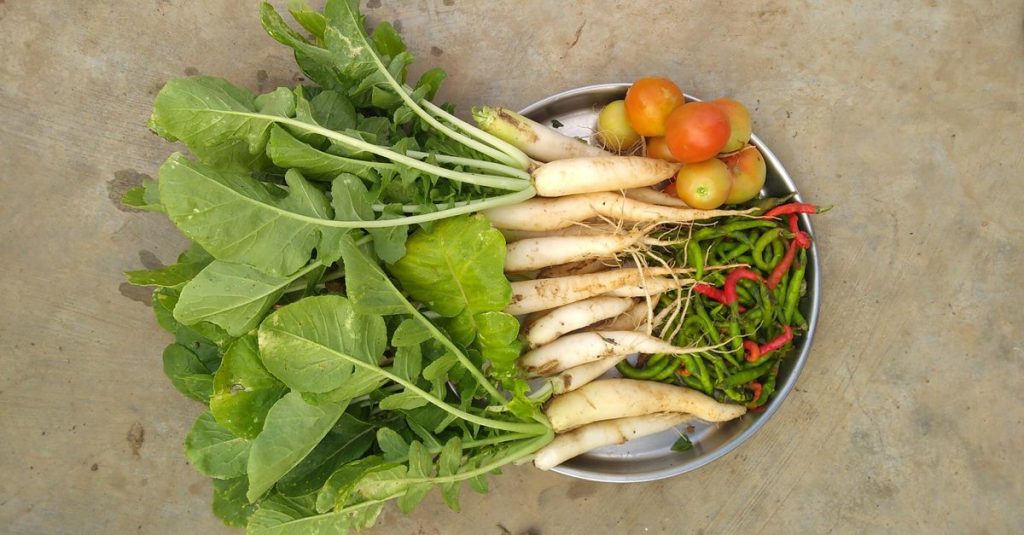 Top view of fresh organic radishes, tomatoes, and green chilies on a metal plate.
